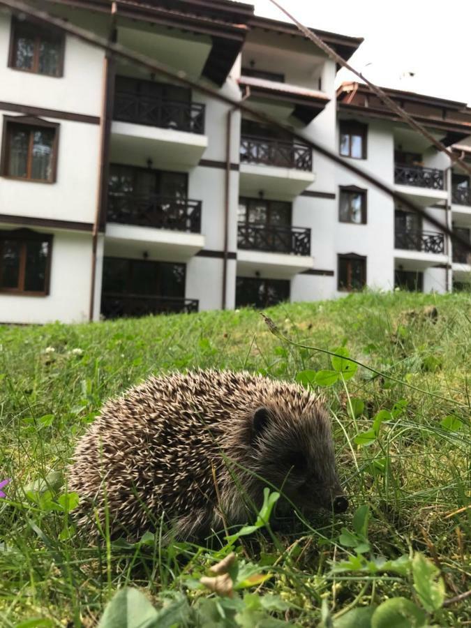 Family Apartment "Cosy Nature" Smolyan Eksteriør bilde