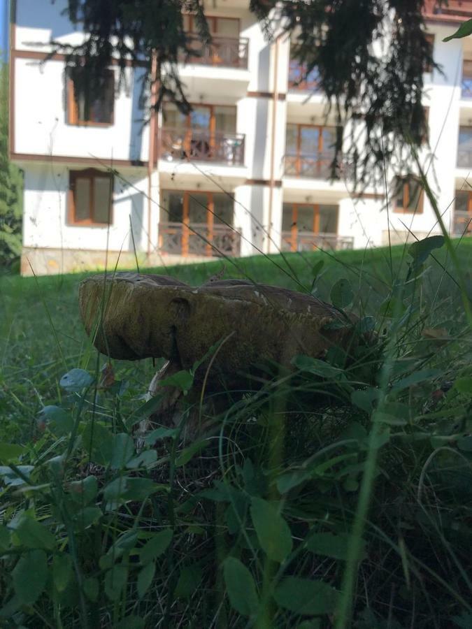 Family Apartment "Cosy Nature" Smolyan Eksteriør bilde