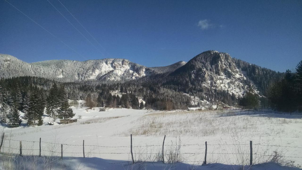 Family Apartment "Cosy Nature" Smolyan Eksteriør bilde